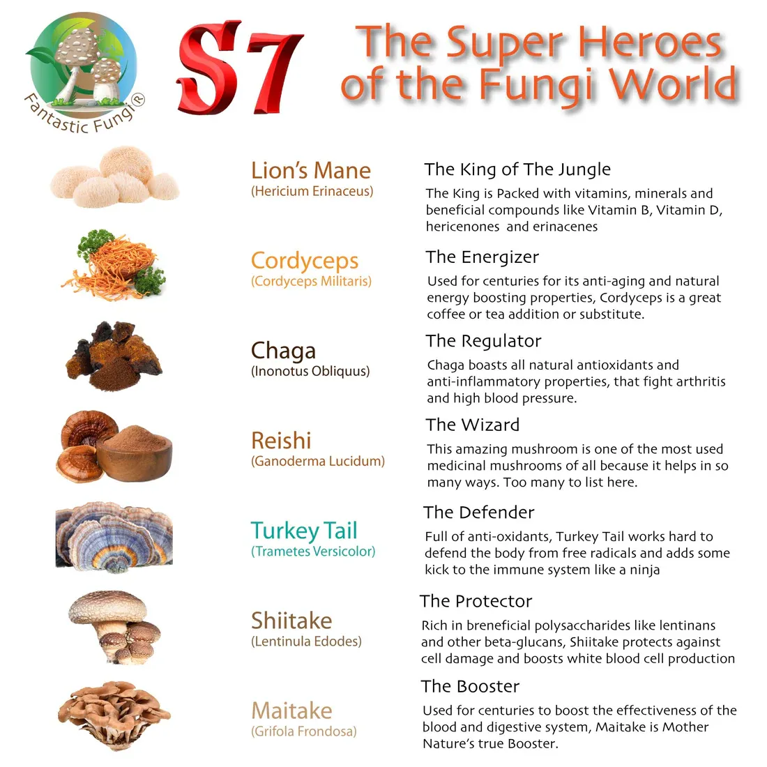 Fantastic Fungi Organic Super 7 Mushroom Blend Extract Powder